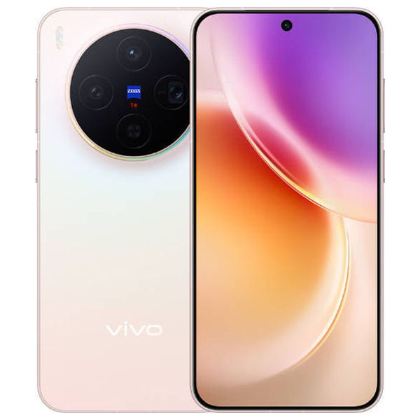 vivo X300