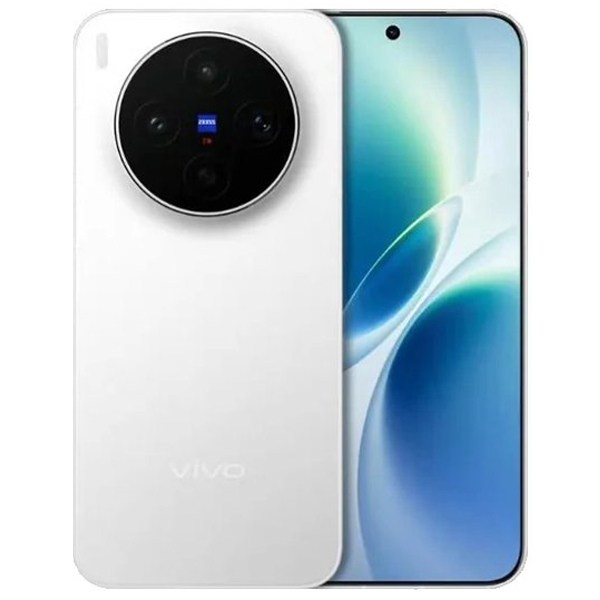 vivo X300s