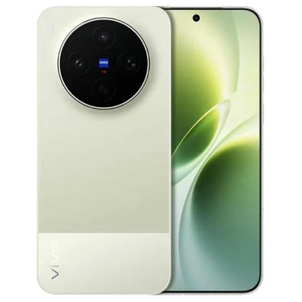 vivo X300s